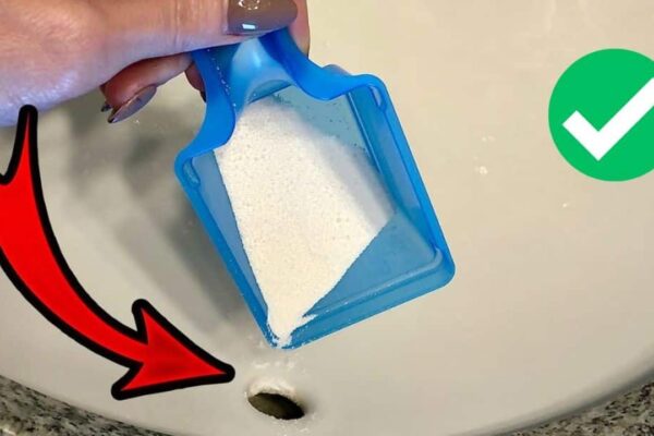 Easy Trick to Make your Bathroom Clean & Smell Amazing!