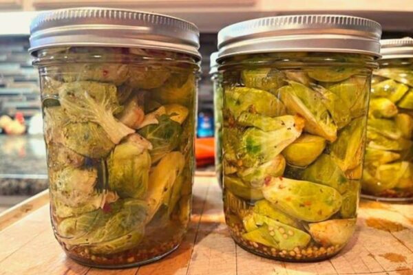 Easy To Make Pickled Brussel Sprouts