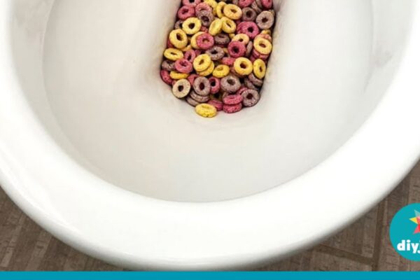 How to Flush the Toilet When the Water Tank is Broken