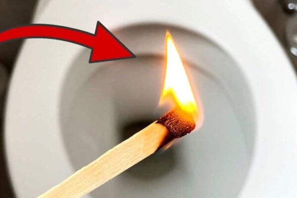 Finished A Must-Try Life-Saving Toilet Hack Using Match, a completed DIY project