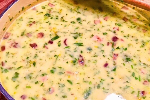 Easy Turkey, Vegetable, and Cheese Soup, homemade and freshly served