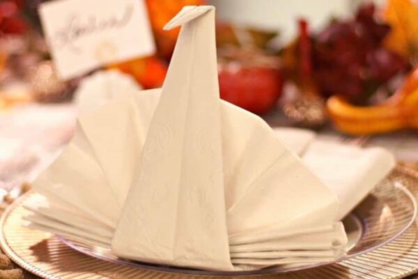 Finished Easy Turkey Napkin Fold, a completed DIY project