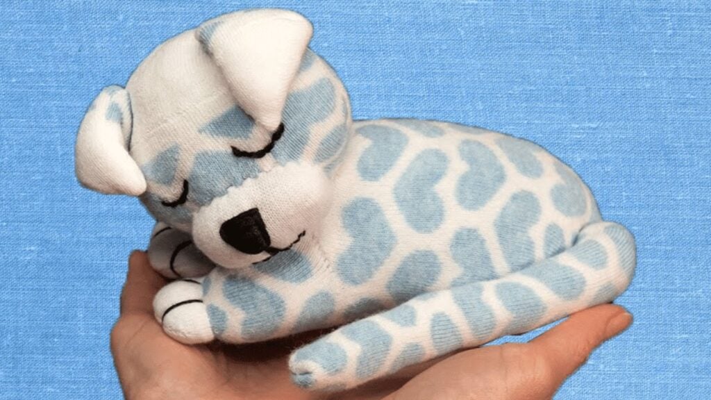 Finished a Puppy Sock Plush, a completed DIY project