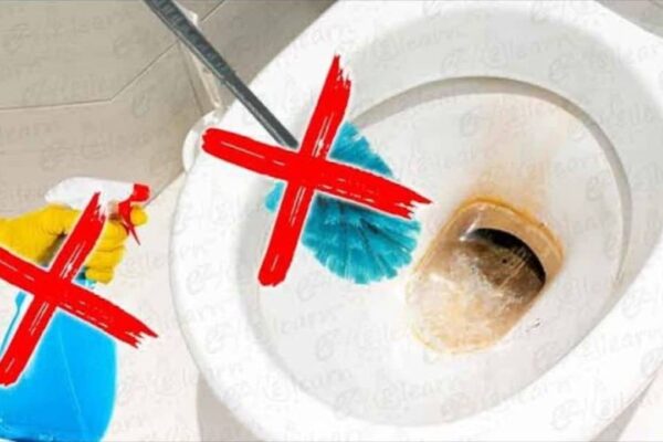 Finished Easy Way to Clean Toilet Bowl Without Scrubbing, a completed DIY project