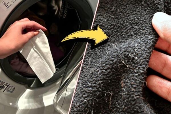 Finished 5 Effective Tricks to Remove Hair & Lint from Clothes Fast, a completed DIY project
