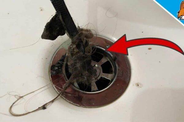 Learn the Easiest & Fastest Way to Unclog your Drain