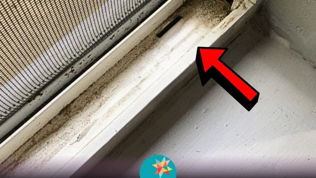 Learn the Easiest Way to Clean Window Tracks