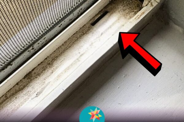 Learn the Easiest Way to Clean Window Tracks