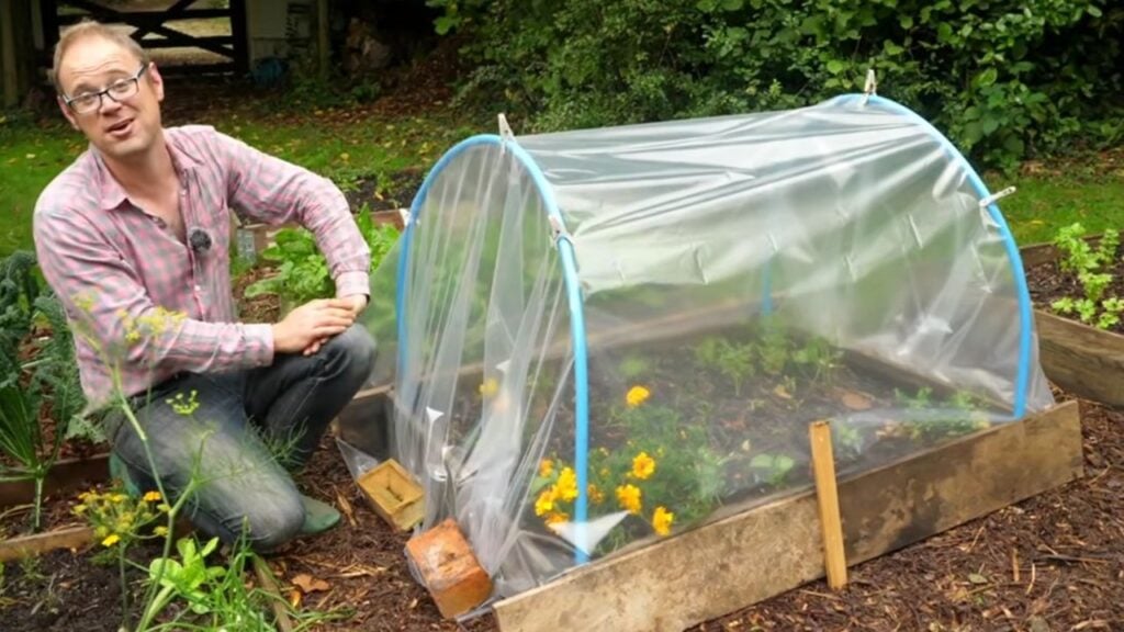 3 Thrifty Ways To Keep Plants Cozy This Winter