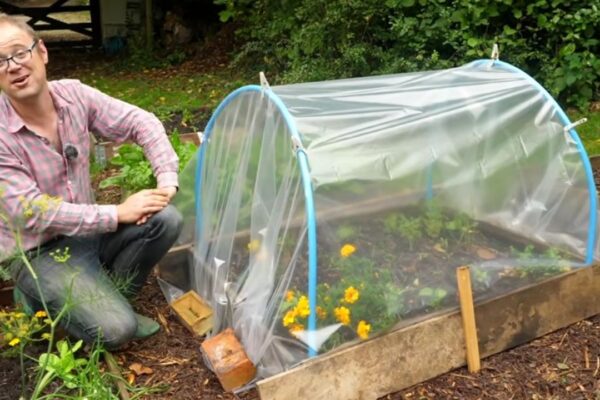 3 Thrifty Ways To Keep Plants Cozy This Winter