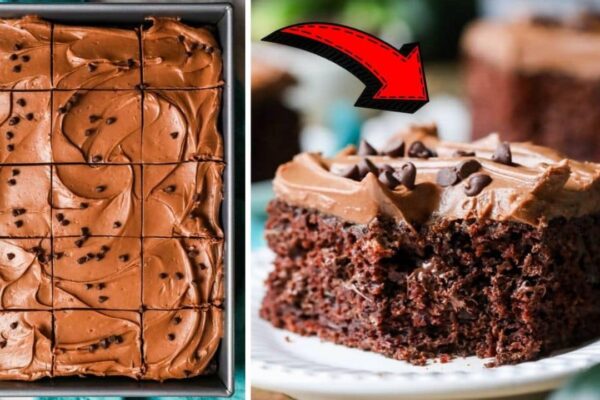 Easy-to-Make Zucchini Chocolate Cake, homemade and freshly served