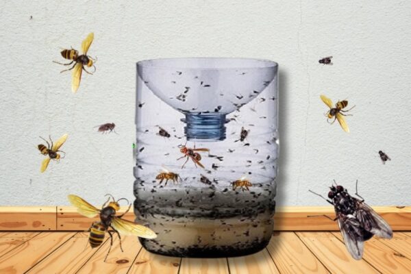 Finished an Effective Hornet and Fly Trap, a completed DIY project