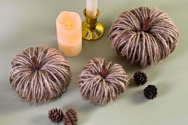 Fall crafts - finished DIY twine pumpkin with a cinnamon stick stem, easy toilet paper roll craft