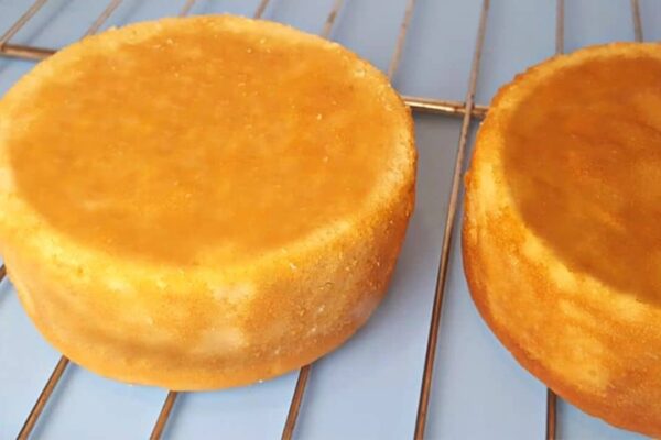 Fluffy and Moist Vanilla Cake, homemade and freshly served