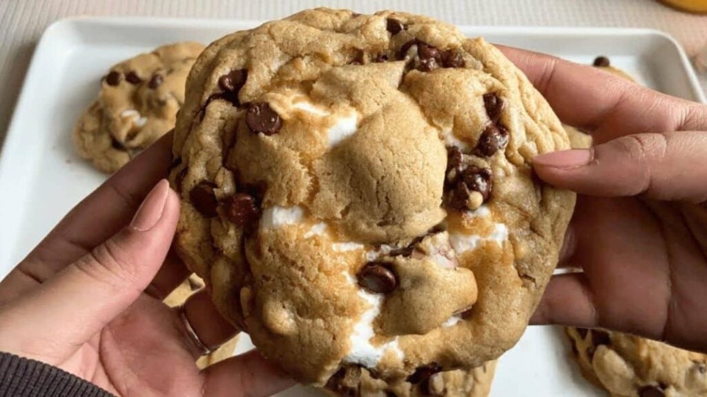 Fluffy Chocolate Chip S'more Cookies, homemade and freshly served