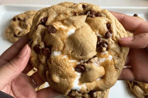 Fluffy Chocolate Chip S'more Cookies, homemade and freshly served