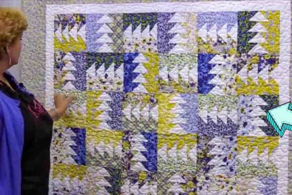 Finished Flying Home Quilt, a completed DIY project