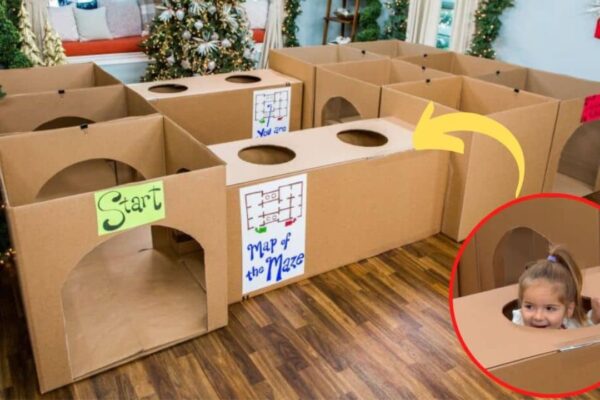 Finished Fun DIY Indoor Maze Using Cardboard Boxes, a completed DIY project