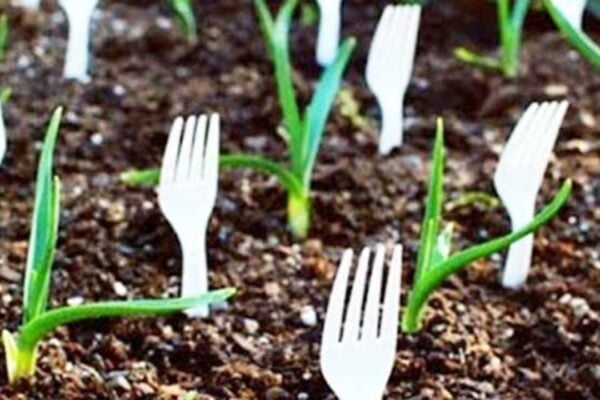 Keep Animals Out Of The Garden With Plastic Forks