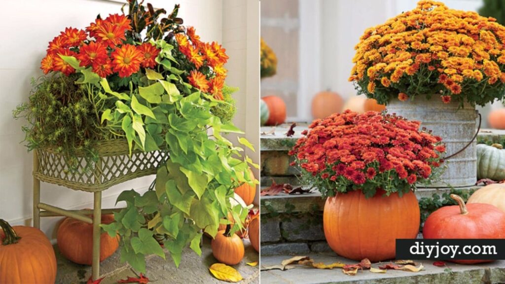 Finished 33 DIY Gardening for Fall, a completed DIY project