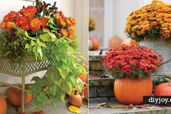 Finished 33 DIY Gardening for Fall, a completed DIY project