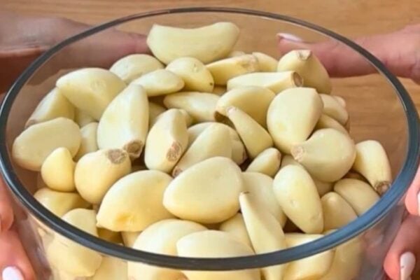 Finished Garlic Storage Hack That Will Change Your Life, a completed DIY project
