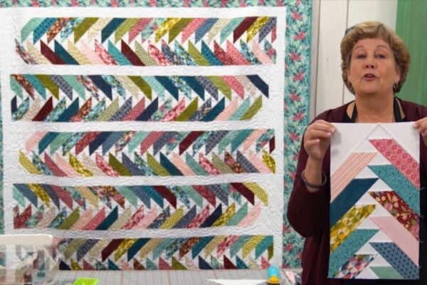 Finished Geese in Motion Quilt With Jenny Doan, a completed DIY project