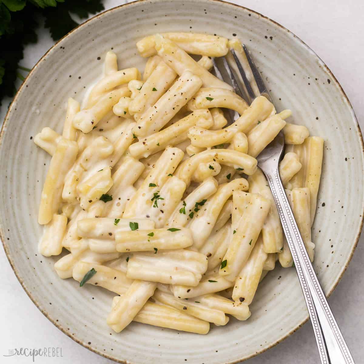 Pasta Recipes - Creamy Garlic Gemelli Pasta - Easy Comfort Dinner Pasta Recipes - Creamy Garlic Gemelli Pasta - Easy Comfort Dinner