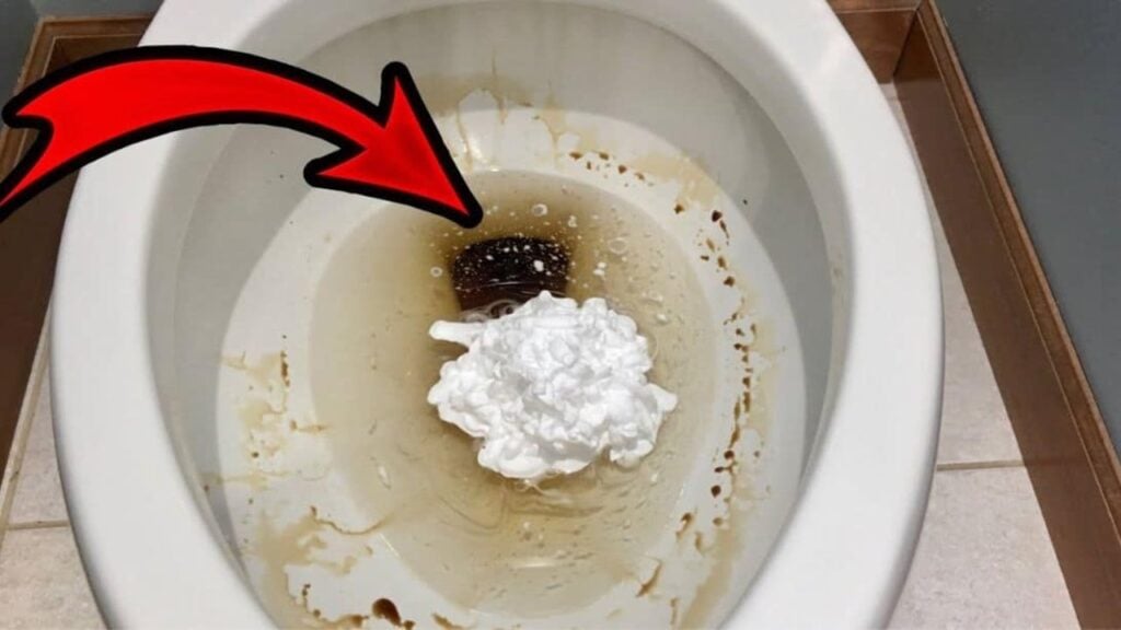 Finished Genius Shaving Cream Toilet Hack That Actually Works, a completed DIY project