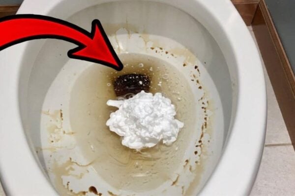 Finished Genius Shaving Cream Toilet Hack That Actually Works, a completed DIY project