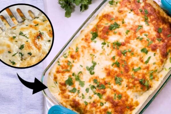 Green Chili Chicken Enchiladas, homemade and freshly served