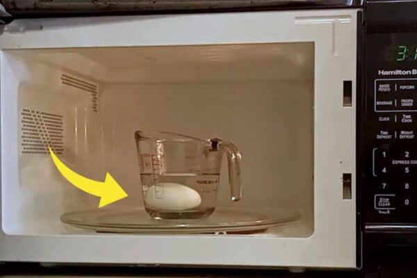 Hard-Boiled and Soft-Boiled Eggs in a Microwave, homemade and freshly served