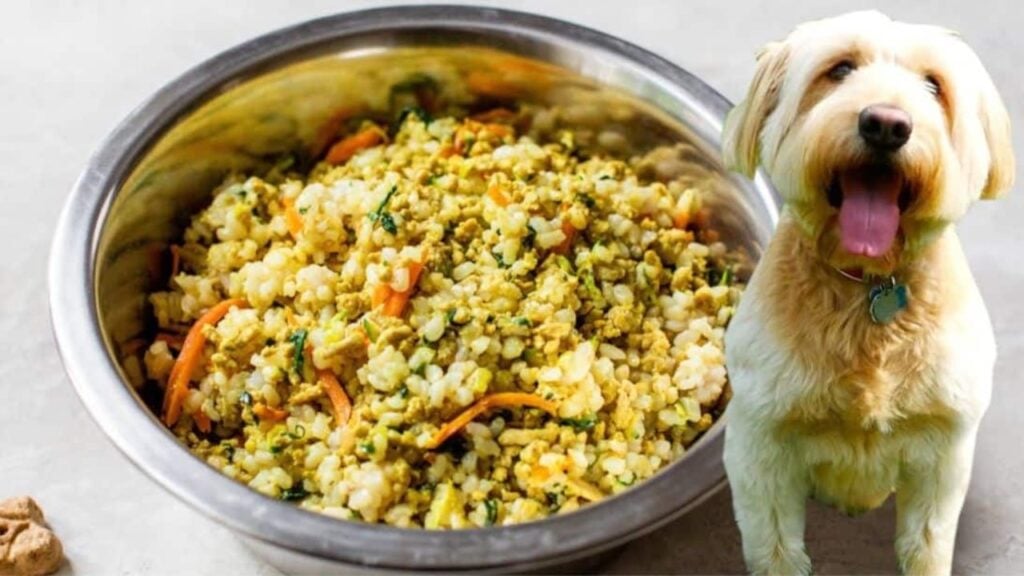 Healthy Homemade Dog Food
