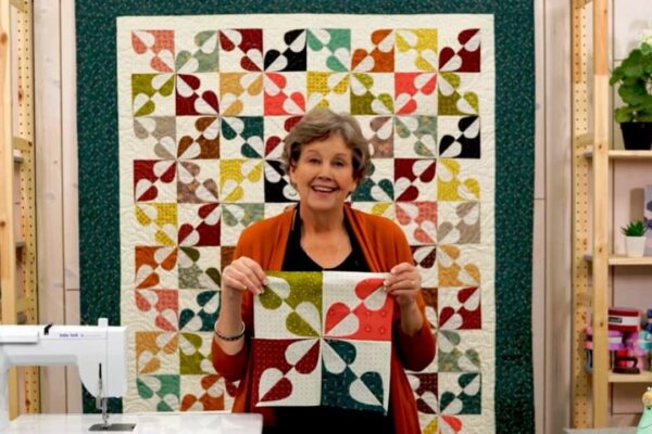 Finished Hearts and Gizzards Quilt With Jenny Doan, a completed DIY project