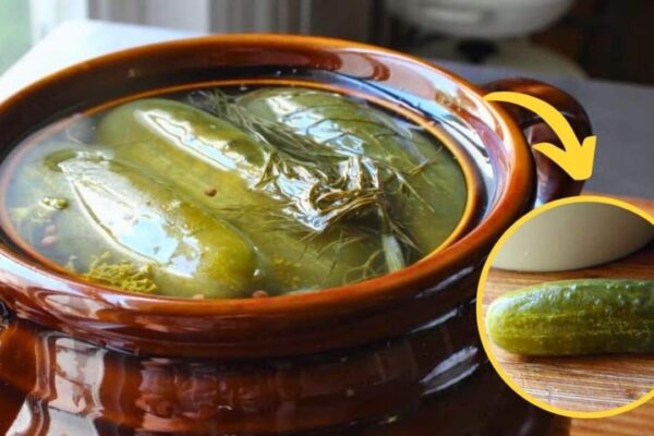 Homemade Dill Pickles, homemade and freshly served