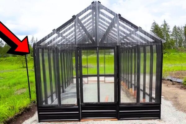 Finished How To Build a DIY Modern Greenhouse Using 2x4s, a completed DIY project