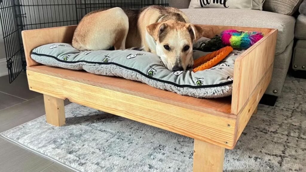 Learn How to Build a Dog Bed in 60 Seconds