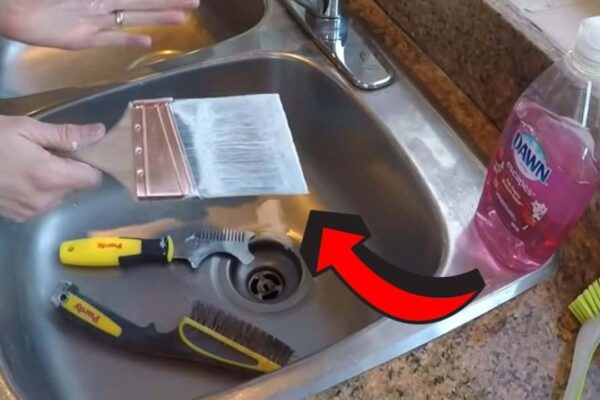 Finished How to Clean a Paintbrush With Dried Paint, a completed DIY project