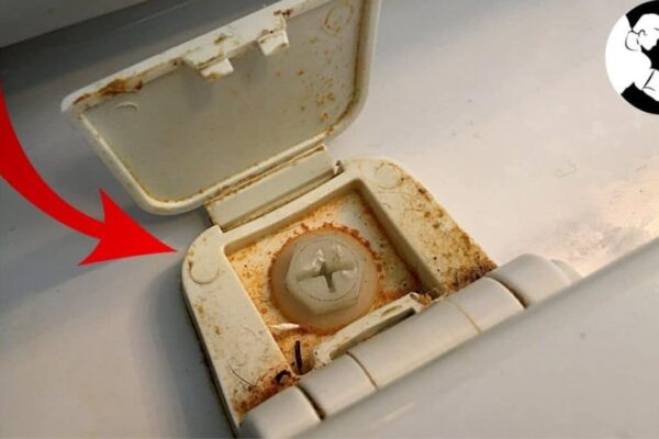 9 Reasons Your Bathroom Stinks & How to Fix It