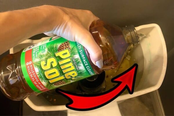 3-Minute Toilet Miracle For Only $1