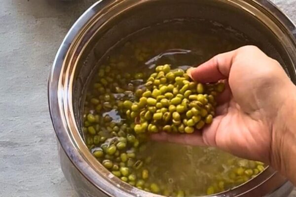 The Secret to Cooking Beans the Right Way, homemade and freshly served
