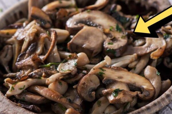 7 Biggest Mistakes When Cooking Mushrooms