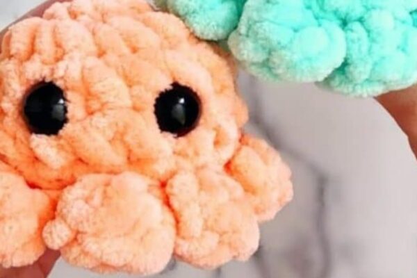Finished How To Crochet A Baby Octopus, a completed DIY project
