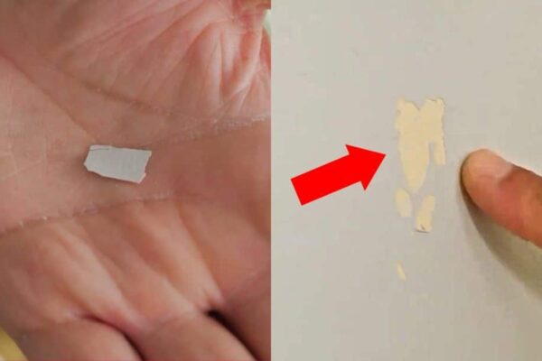 How to Fix Paint Chips on Your Wall, homemade and freshly served