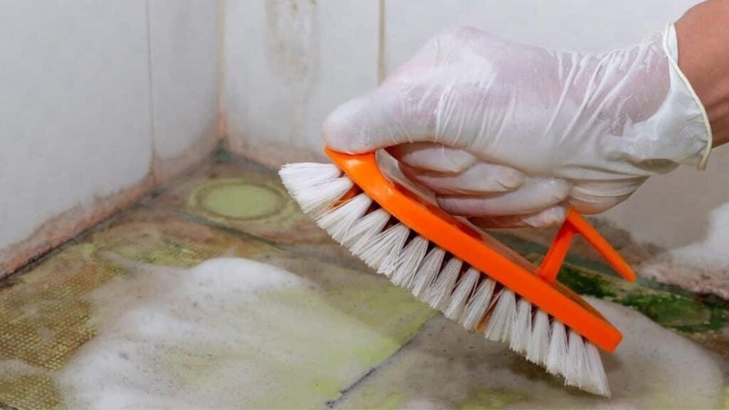 Finished 8 Natural Ingredients That Can Get Rid of Mold, a completed DIY project