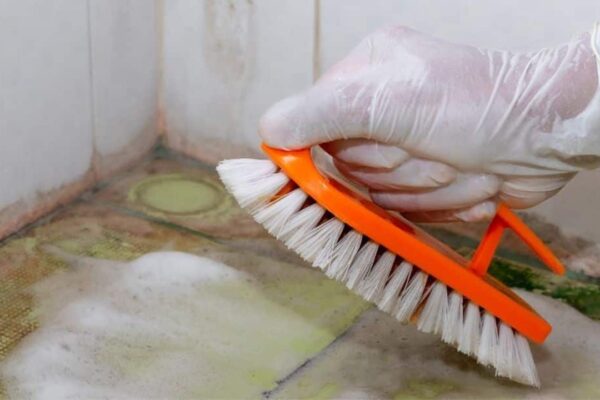 Finished 8 Natural Ingredients That Can Get Rid of Mold, a completed DIY project