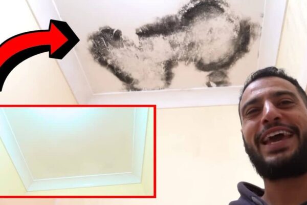 A Quick & Permanent Solution for Recurring Mold