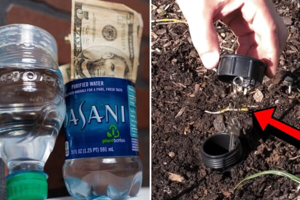 6 Secret Safes