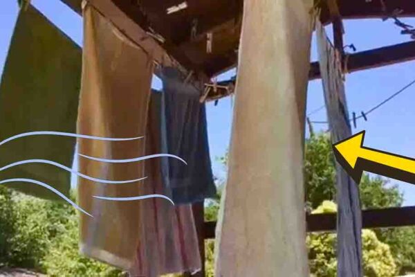 How to Keep Line-Dried Clothes from Getting Stiff