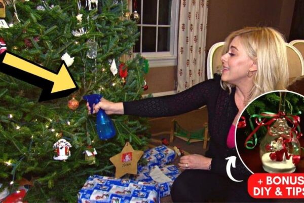 How To Keep Pets Away From Your Christmas Tree